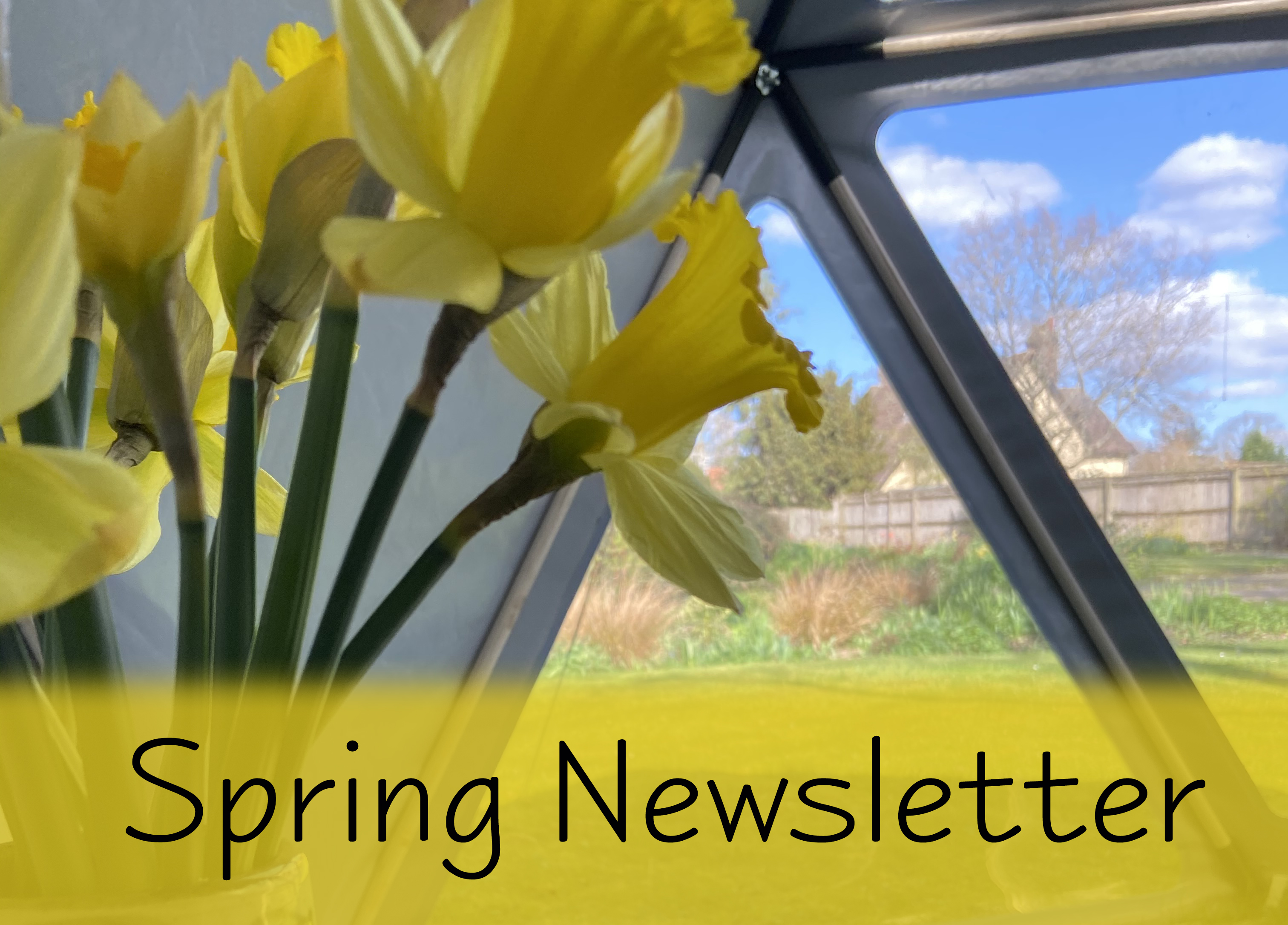 Spring Newsletter Image